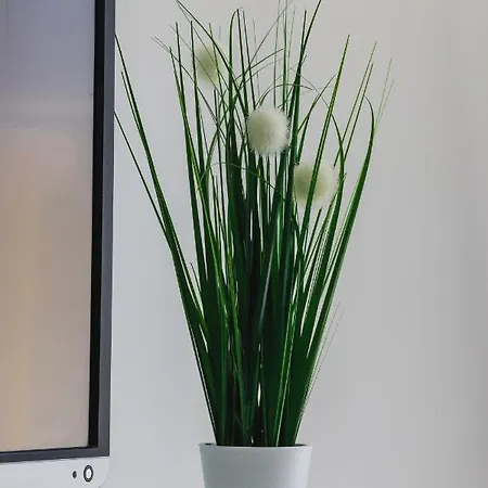 Smoluchowskiego Cracow By Renters Appartamento Cracovia