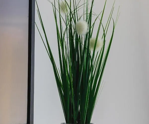 Smoluchowskiego Cracow By Renters Apartament Kraków